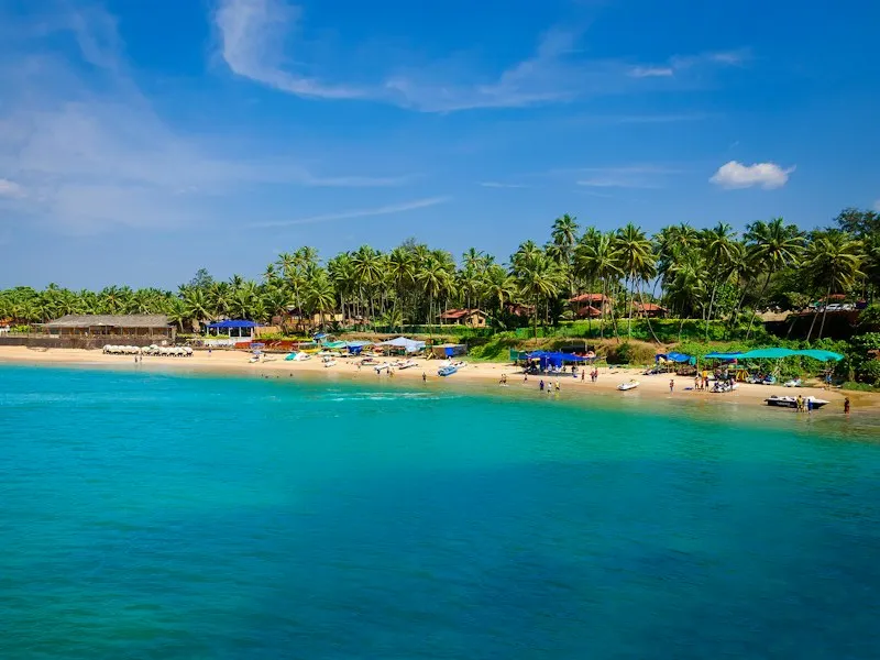 Poovar Mangrove Island and Kovalam Beach