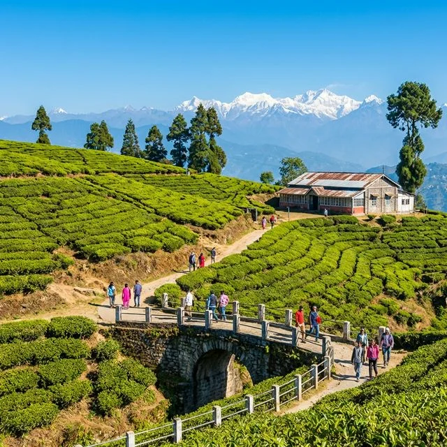 Munnar