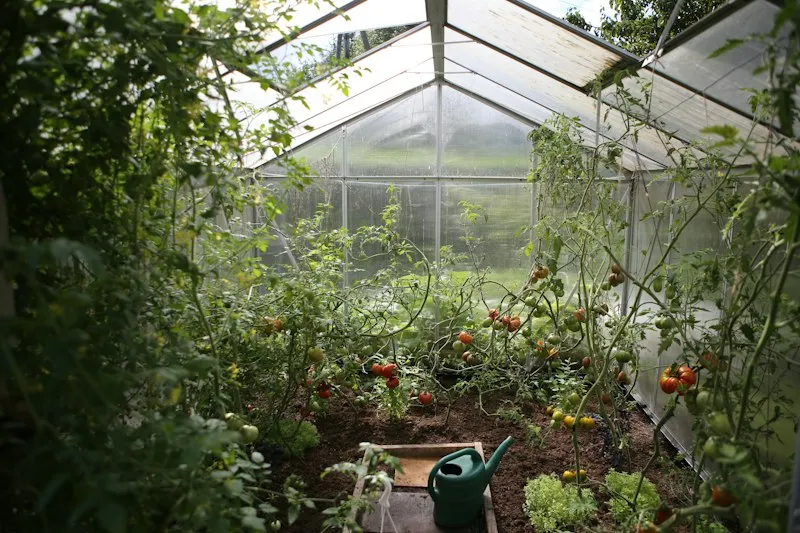 Thekkady Spice Plantations